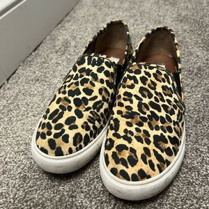Steve Madden leopard sneakers